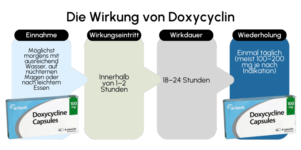 Die Wirkung von Doxycyclin
