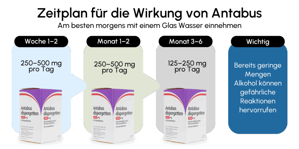 Zeitplan Wirkung Antabus